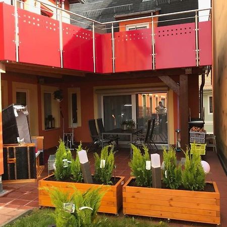 Ferienwohnung Albrecht Strandkorb Bad Schandau Exterior foto